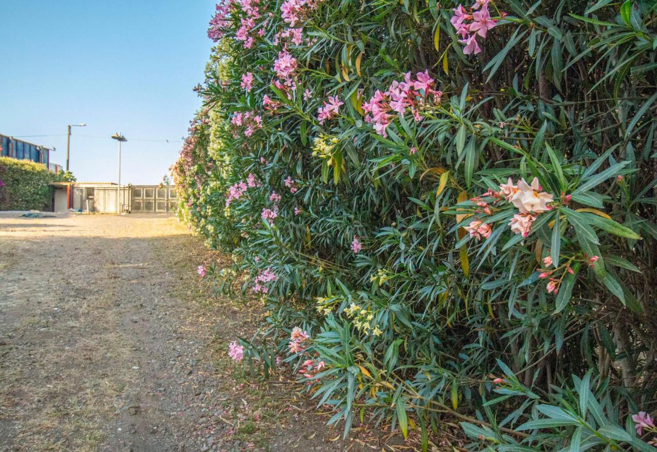 Royal Playa Suite And Apartament -Private Parking- Self Chek Out Κατάνια Εξωτερικό φωτογραφία